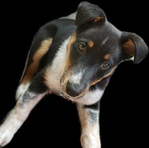 Meet your Posher, Macy